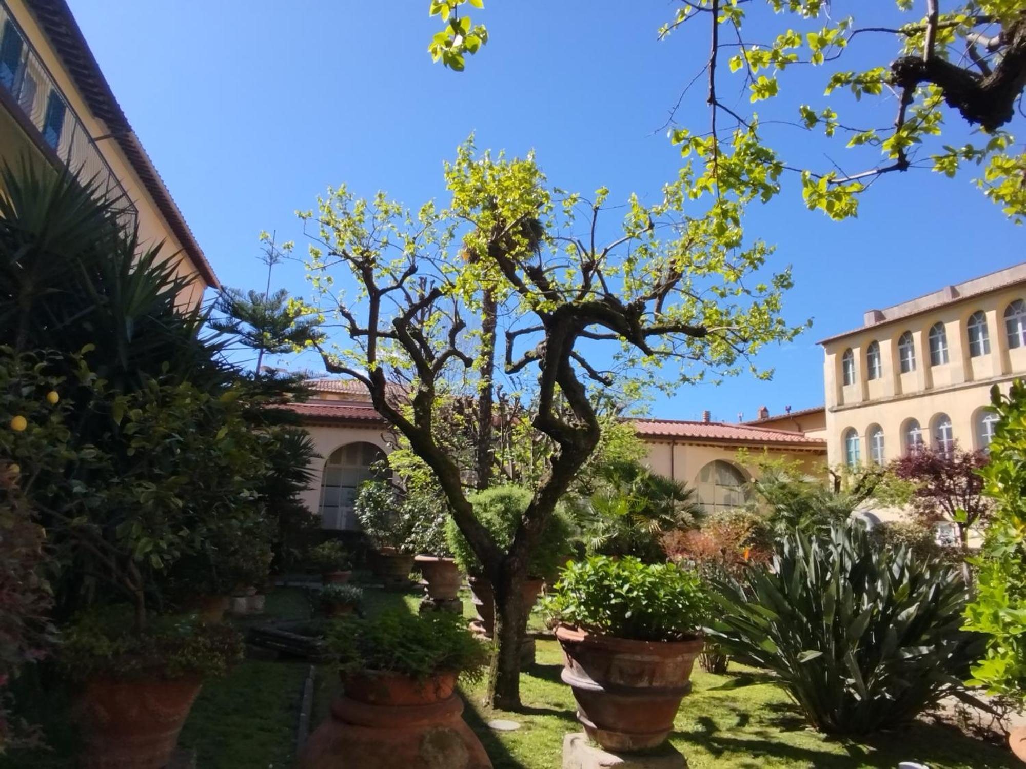 Casa Per Ferie Religiosa Figlie Di Nazareth Alojamento de Acomodação e Pequeno-almoço Pisa